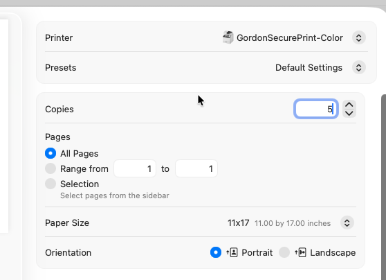 Example print settings configured for an 11 × 17 poster.